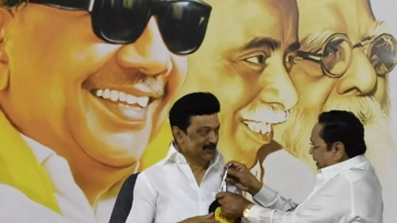 Tamil Nadu: MK Stalin elected unopposed as DMK chief for second ...