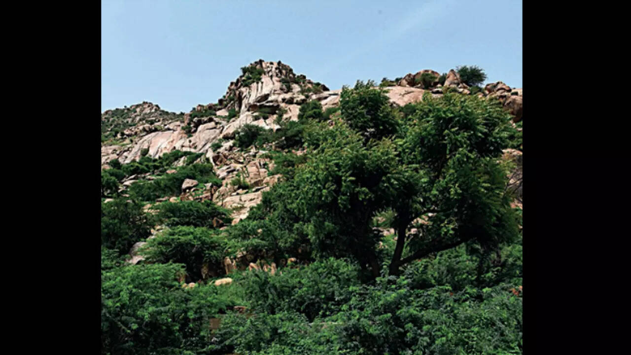 Housing Board Duplex, Faridabad Map, Property Rates, Projects, Photos