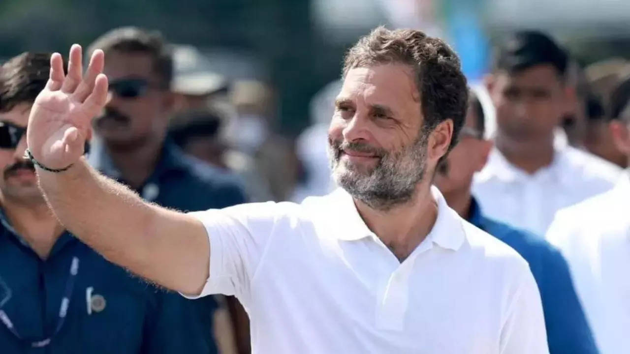 Congress Bharat Jodo Yatra day 35 live: Rahul Gandhi to meet 2000  unemployed youths from Karnataka - The Times of India