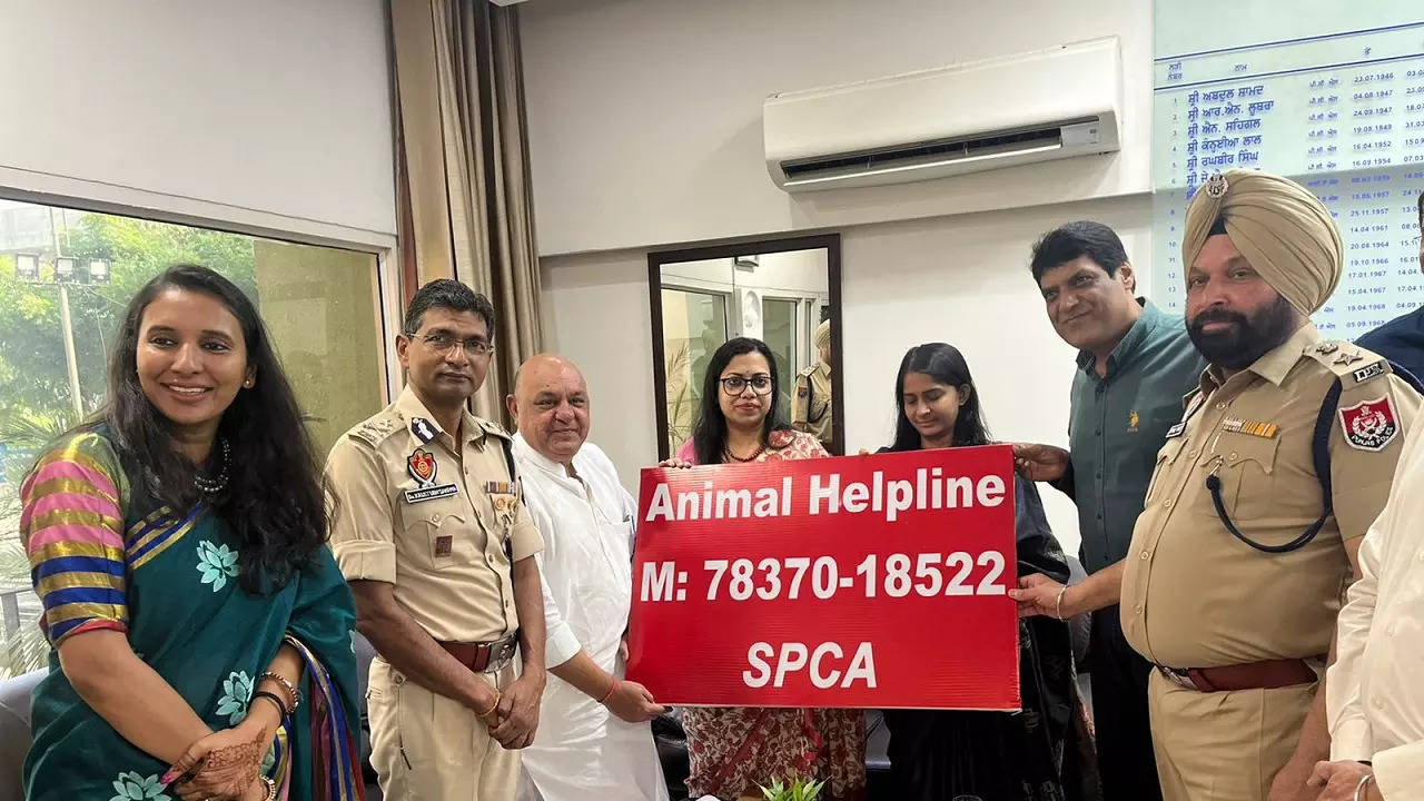 24x7 animal rescue helpline number 78370-18522 launched for Ludhiana  district | Ludhiana News - Times of India