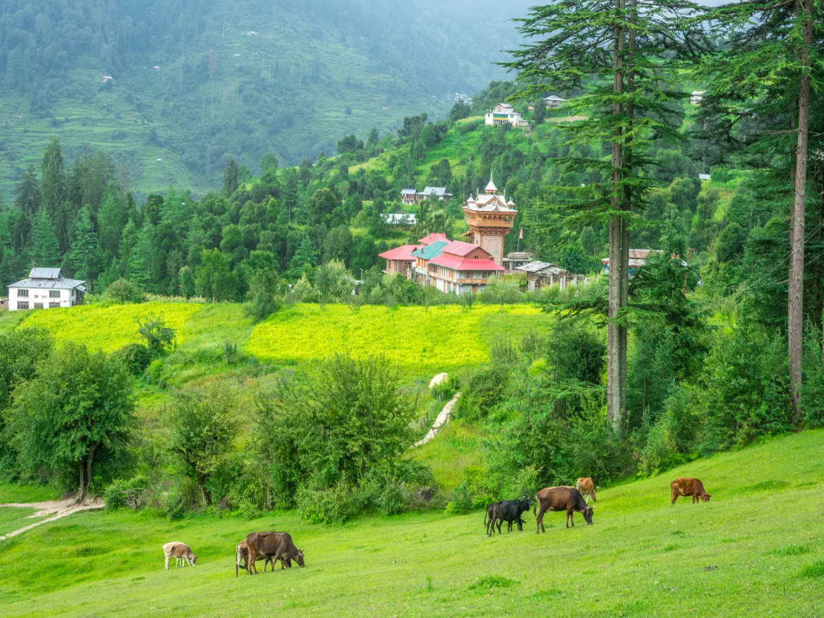 Perfect hill getaways in North India for the long Diwali weekend