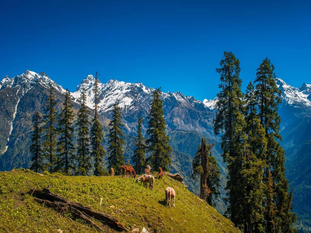 Beautiful valleys in the Himalayas mountain lovers should explore