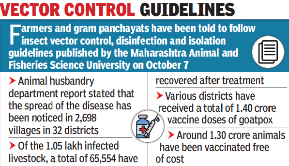 Showers triggered spread of lumpy skin disease: Maharashtra Animal husbandry department | Pune News - Times of India Showers triggered spread of lumpy skin disease: Maharashtra Animal husbandry department | Pune News - Times of India