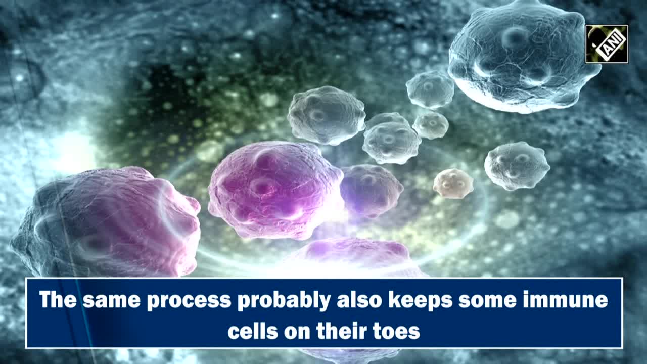 Study identifies mechanism otherwise found in metastasizing cancer cells |  Lifestyle - Times of India Videos