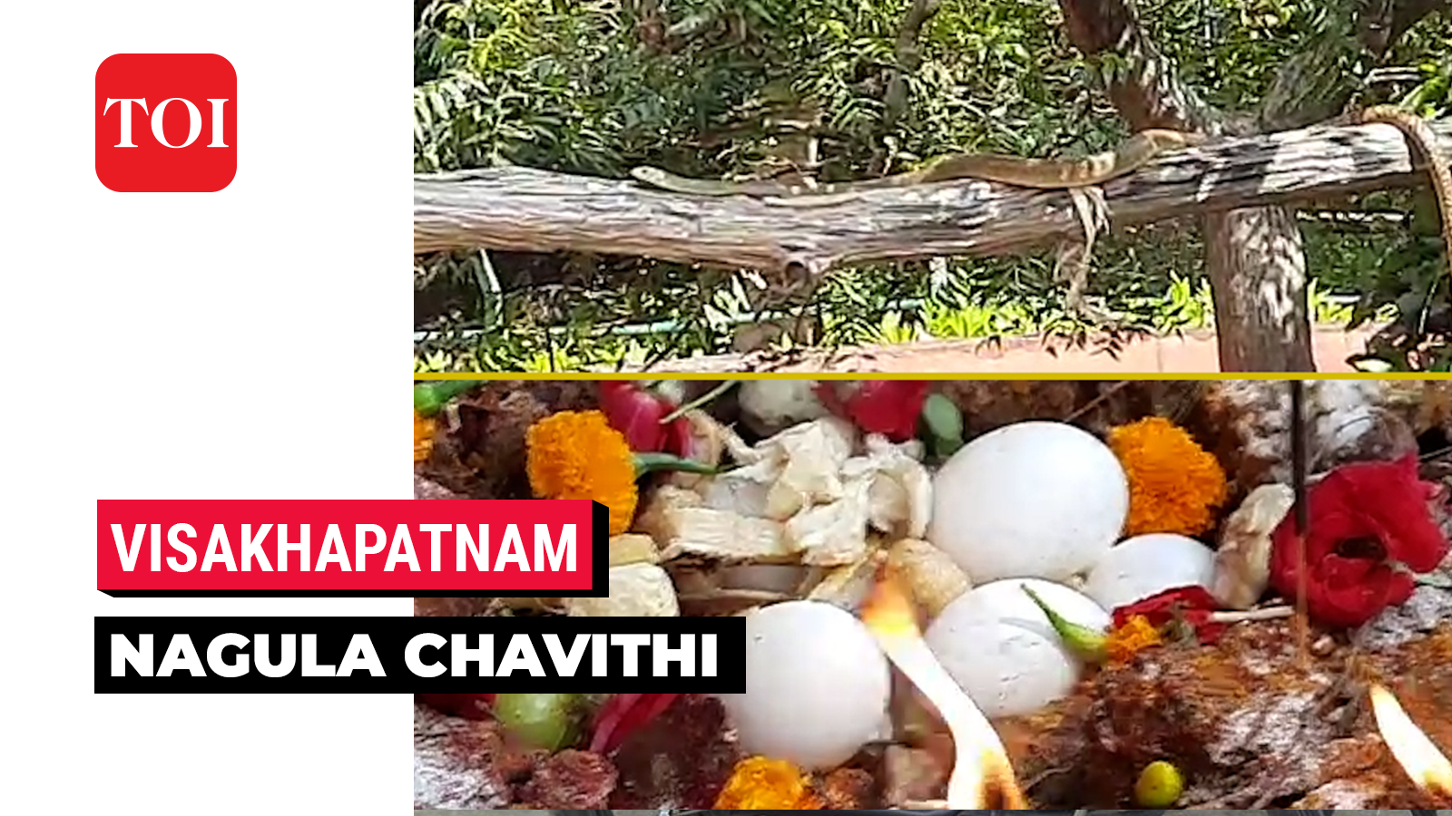 Nagula Chavithi celebrated with fervour in Visakhapatnam zoo | TOI ...