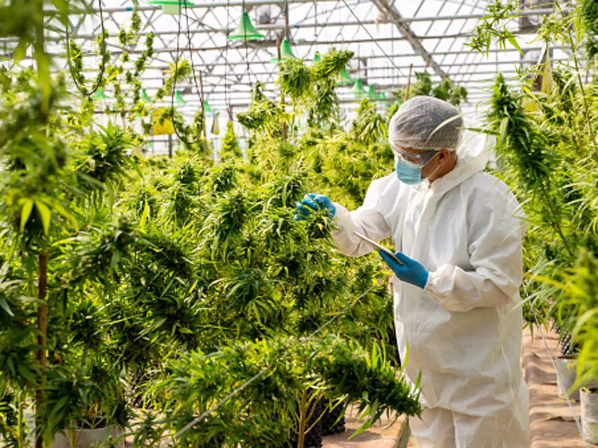 Meet of All India Coordinated Research Project on Biological Control of Crop Pests held - Times of India