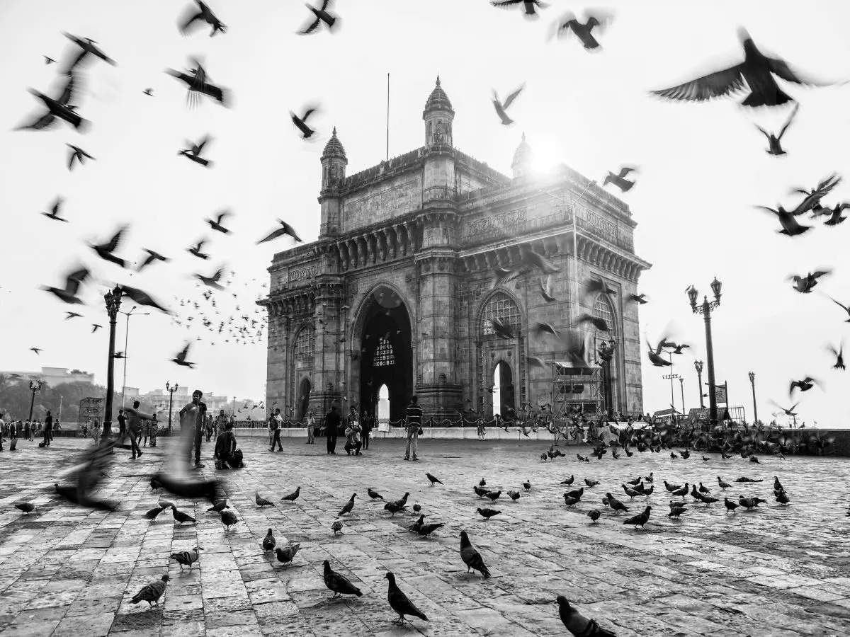 ​Iconic gateways of India!​
