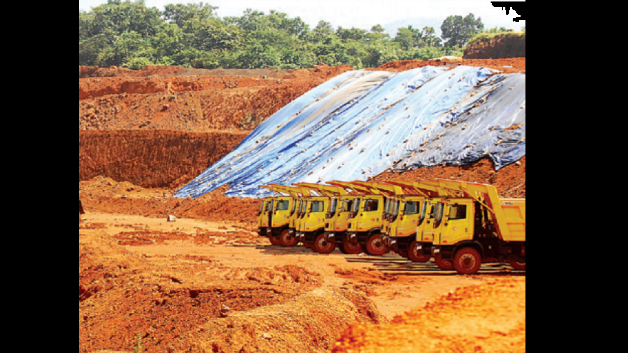 SIT has asked the Indian Bureau of Mines (IBM) to carry out an extensive survey of 59 mining leases.