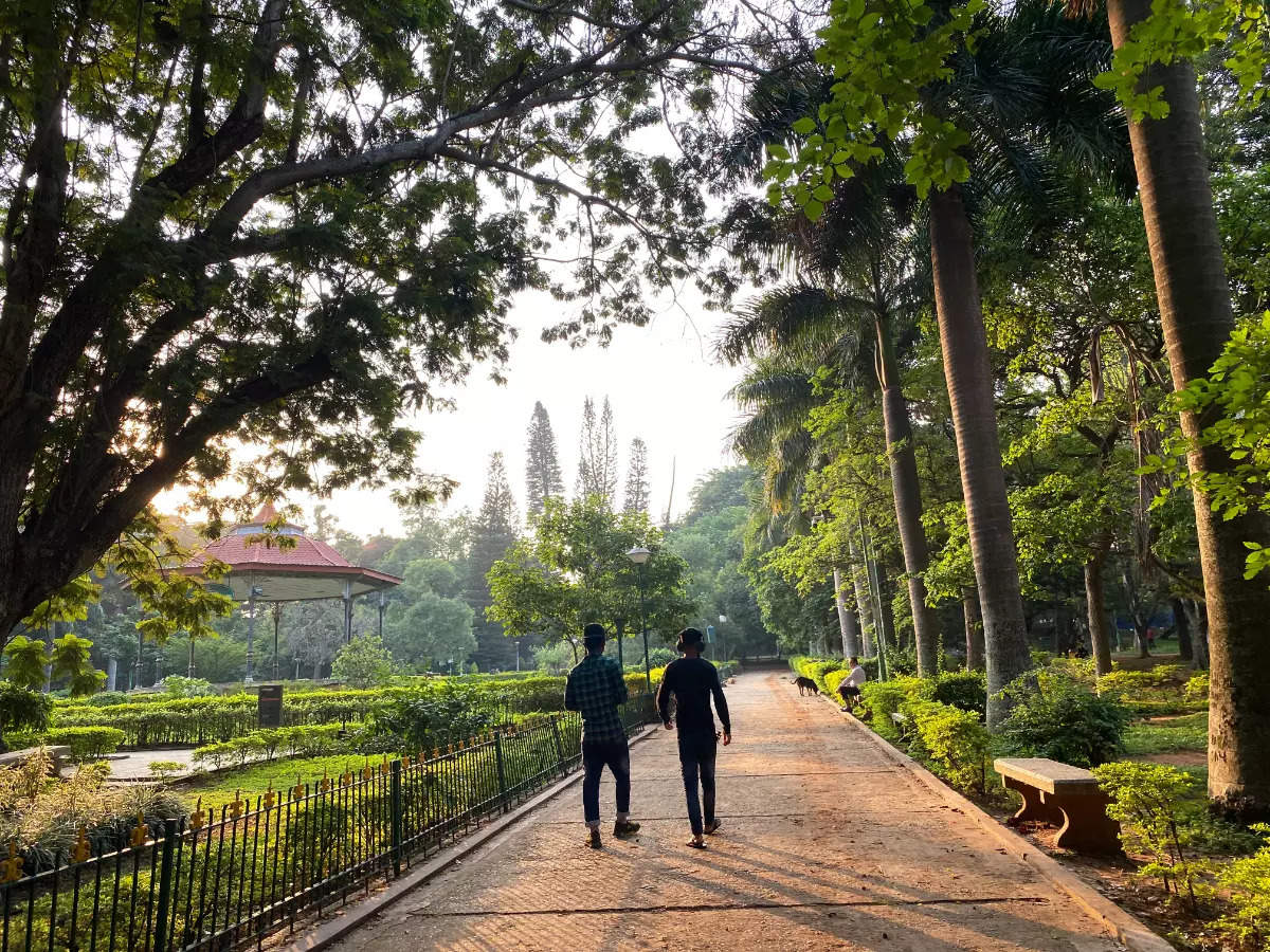 In pictures: Add these park experiences to your Bengaluru itinerary ...