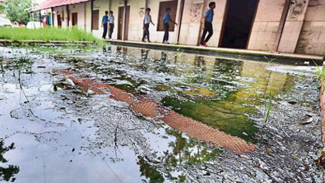 Stagnant drainage water on SRV school campus 