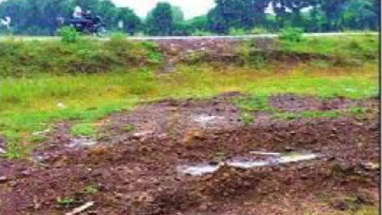  Pushkar was buried on an isolated plot in Kanchipuram district