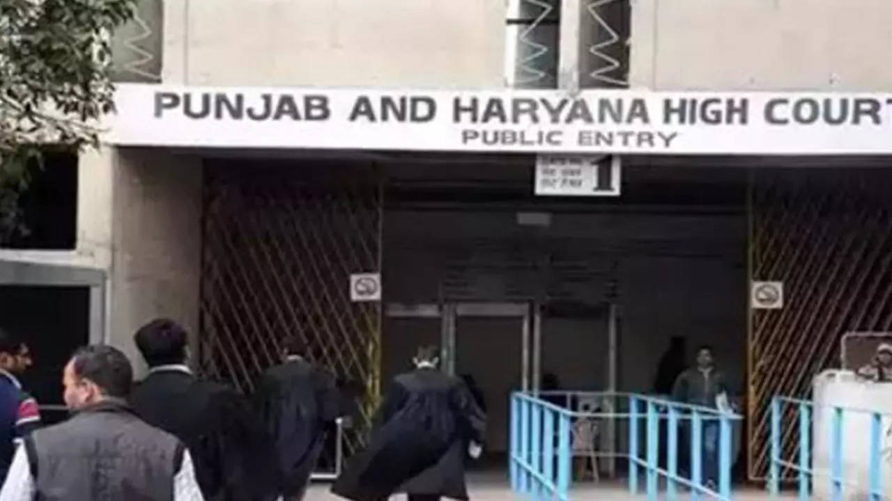 Punjab and Haryana high court (file photo)