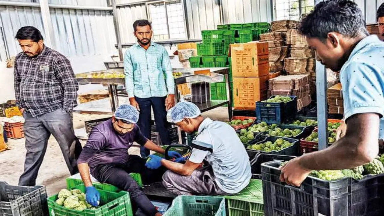 Around 25 food processing units have come up in Purandar, providing employment to about 1,500 people. Growers said these units have brought prosperity in the region
