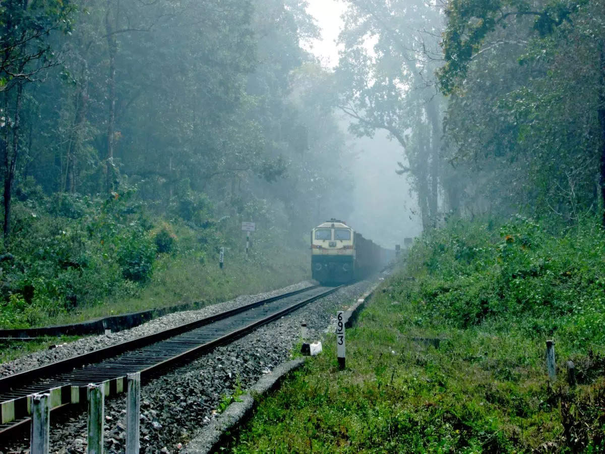 Pretty places to explore in India via trains this new year