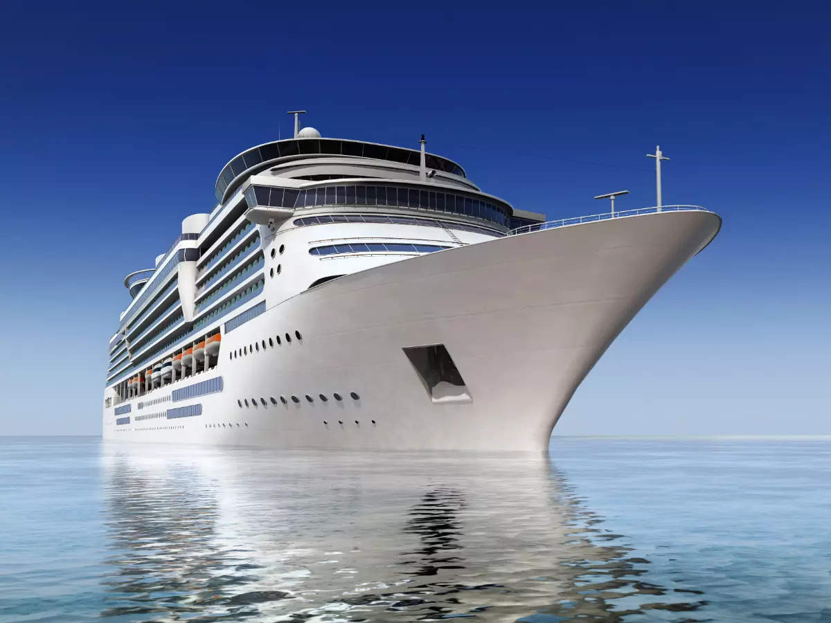 Cruises in India to start your year with