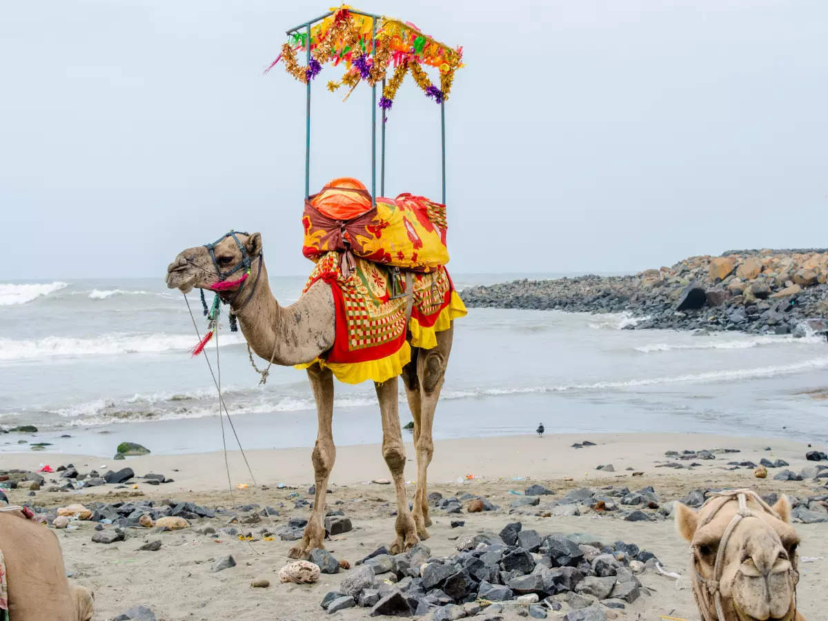 In pictures: Cool ways to experience Daman and Diu