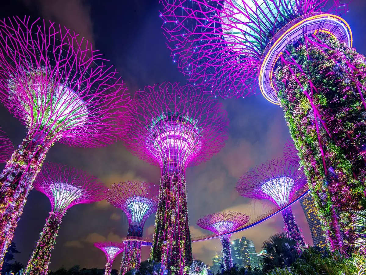 Best experiences in Singapore for new year getaways