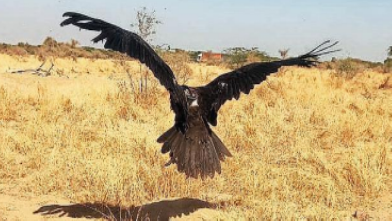 Deo Kishanpura, Jaipur Map, Property Rates, Projects, Photos, Reviews