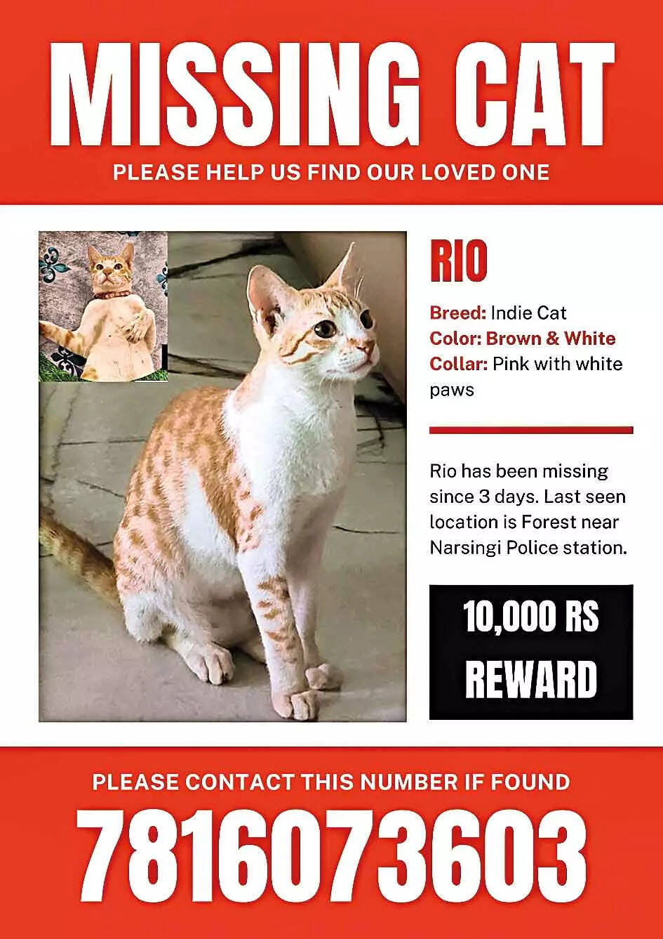 pg3_missing_cat