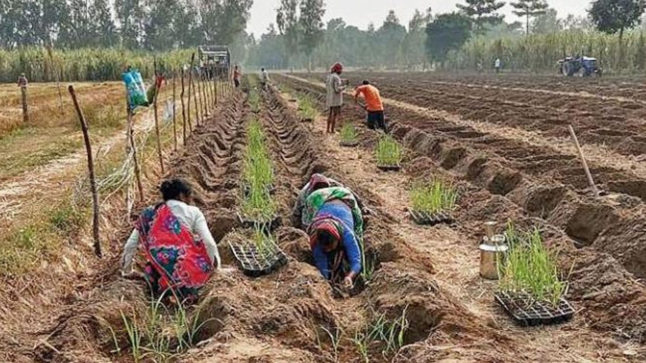 Krishna Vihar Colony, Bareilly Map, Property Rates, Projects, Photos