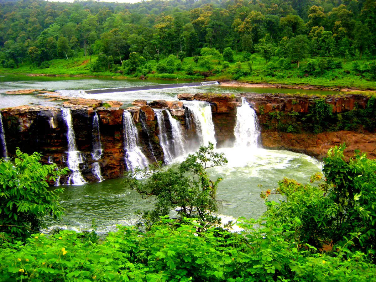 Vansda National Park, Gujarat’s hidden gem