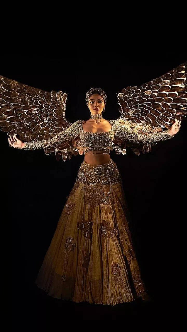 Miss India Universe Divita Rai's national costume