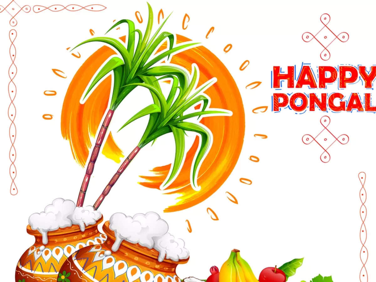 Bhohi Wishes | Happy Pongal 2023: Best Messages, Quotes, Wishes and Images  to share on Bhogi Pongal