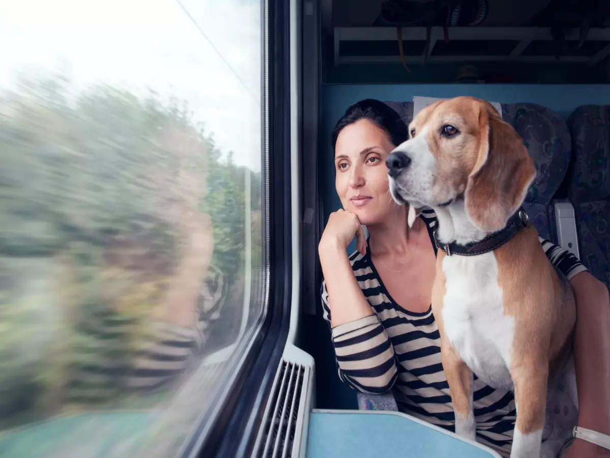 Here’s how to travel with your pets in the Indian Railways