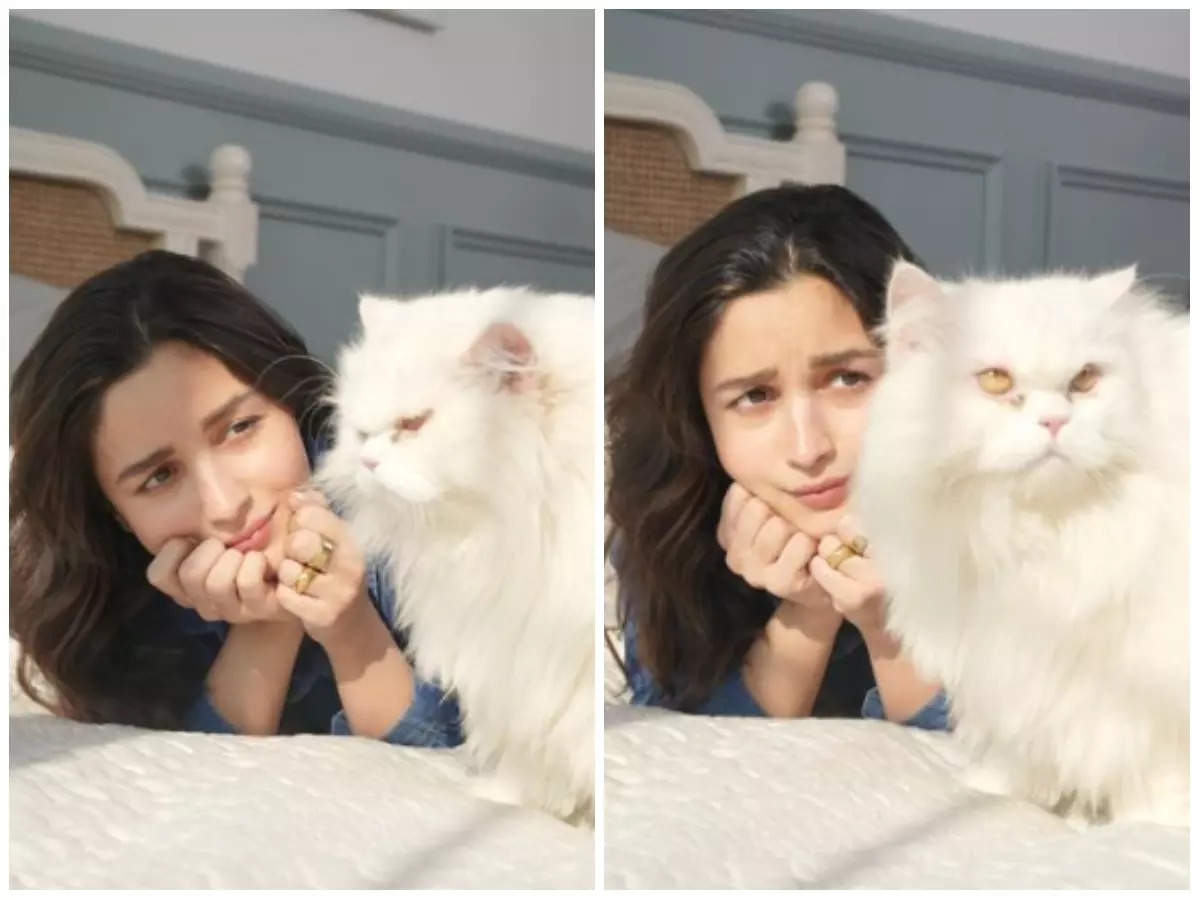 Alia Bhatt gets the royal snub from her cat Edward; fans ask 'is he jealous about Raha?'