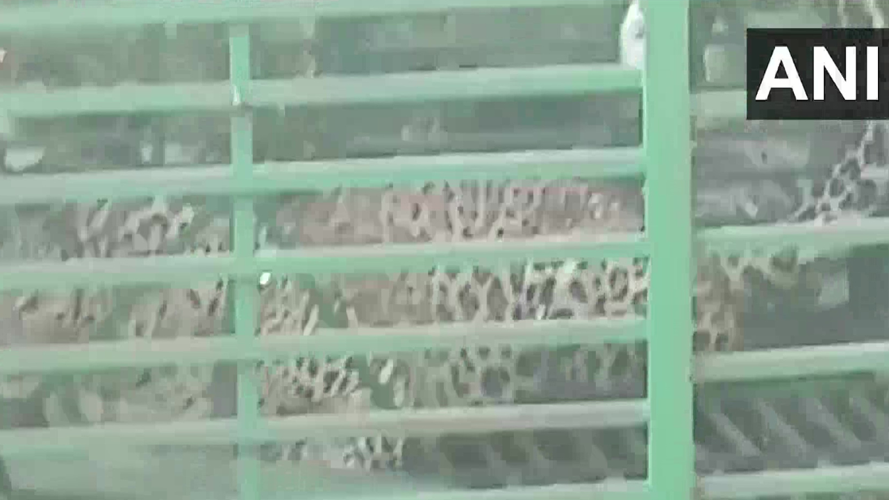 The leopard has killed 4 children in Jharkhand's Palamu division including three in Garhwa and one in Latehar districts since December 10 (ANI Photo)