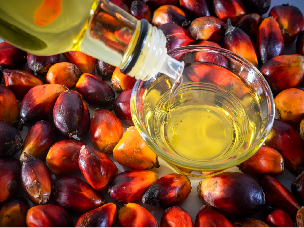 Palm Oil Is Better For The Environment Than Other Oils – Natural