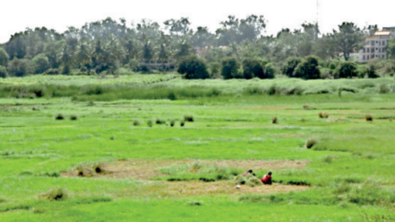 Bengal allows govt land lessees to opt for ownership