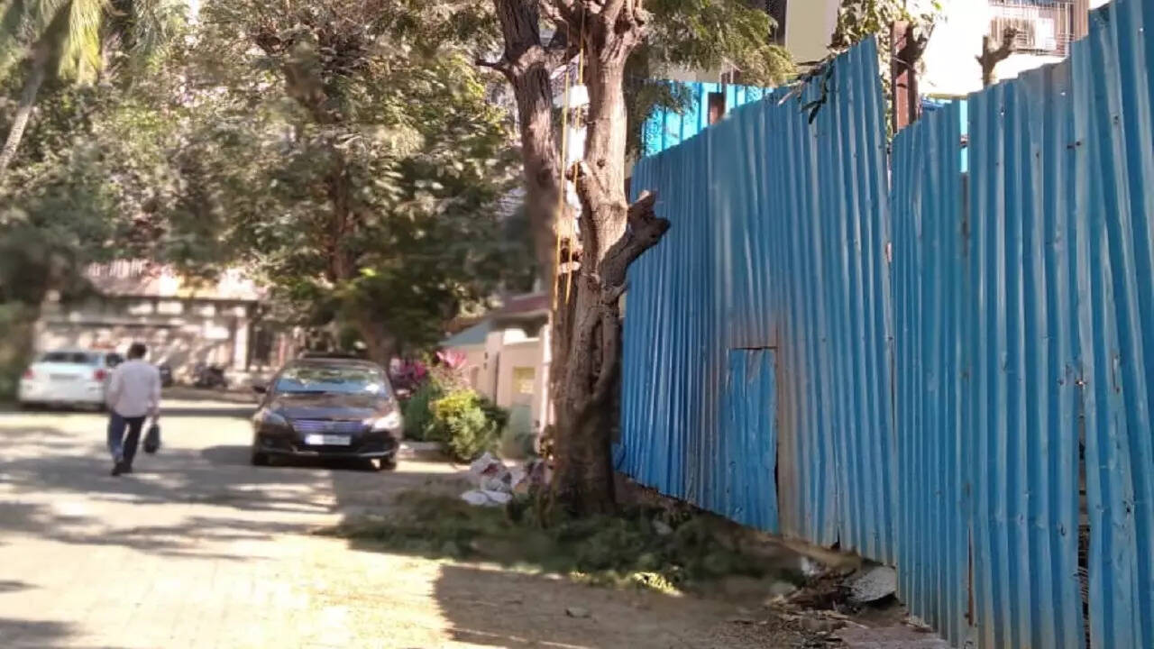 Mumbai: Why trees outside society compound slated for chopping; activist asks BMC | Mumbai News – Times of India