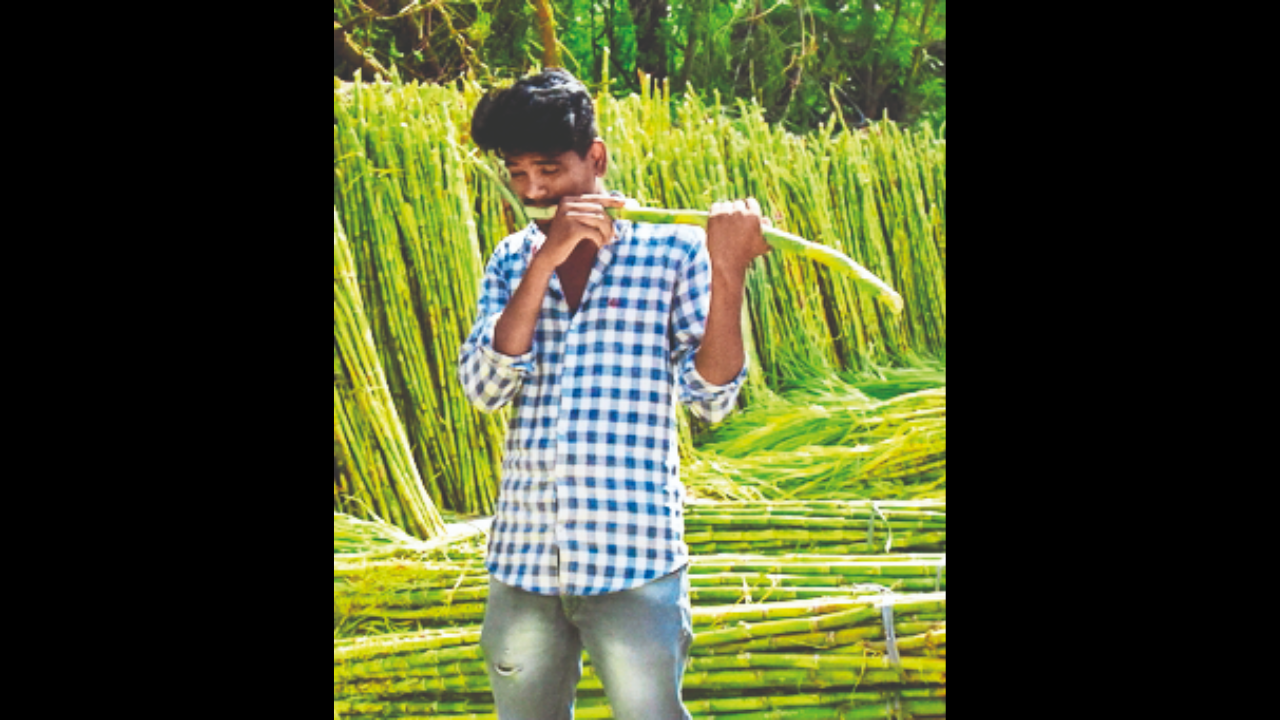 Green field avenue, Amritsar Map, Property Rates, Projects, Photos