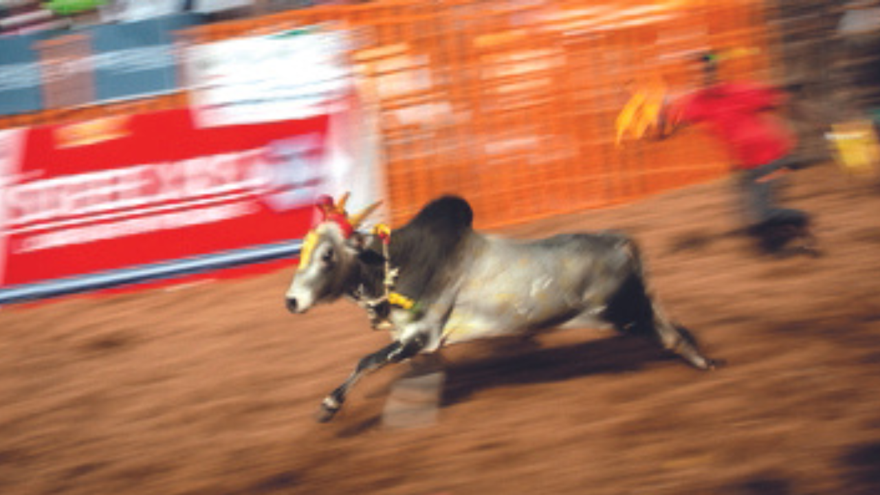 Race Course, Coimbatore Map, Property Rates, Projects, Photos, Reviews