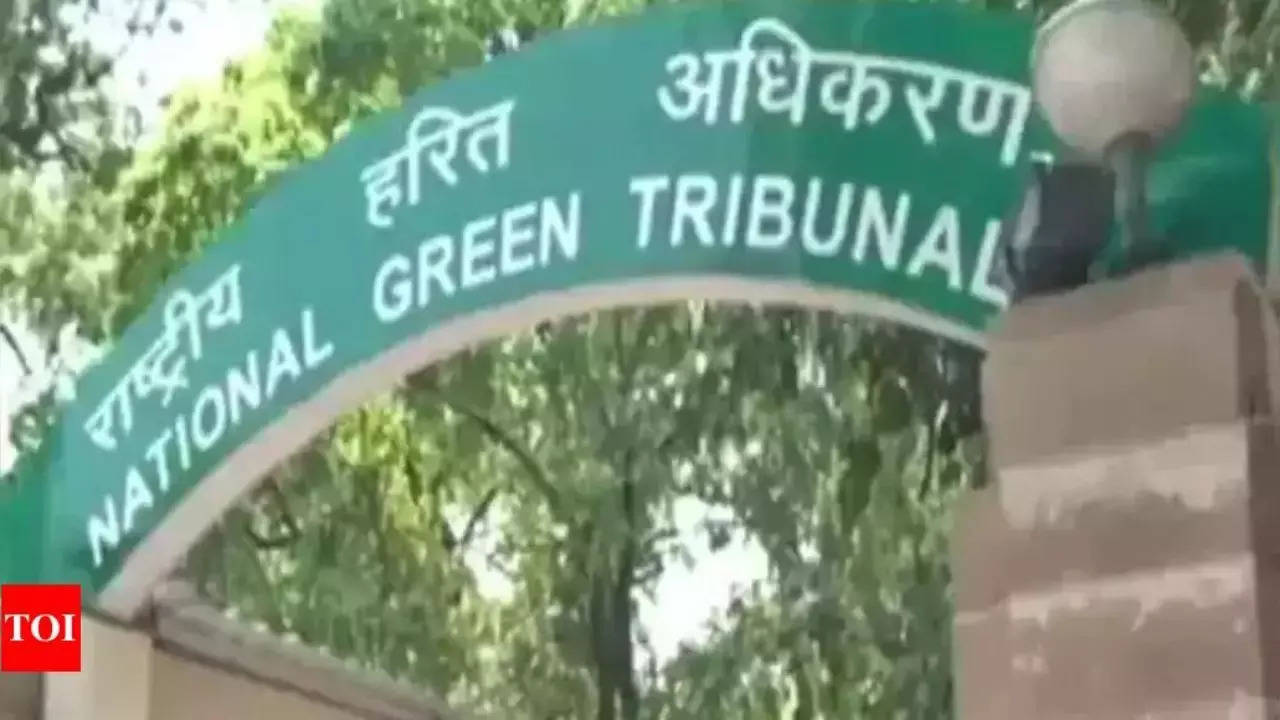 NGT orders ABCI Infrastructure to pay for Mizoram stone quarry collapse