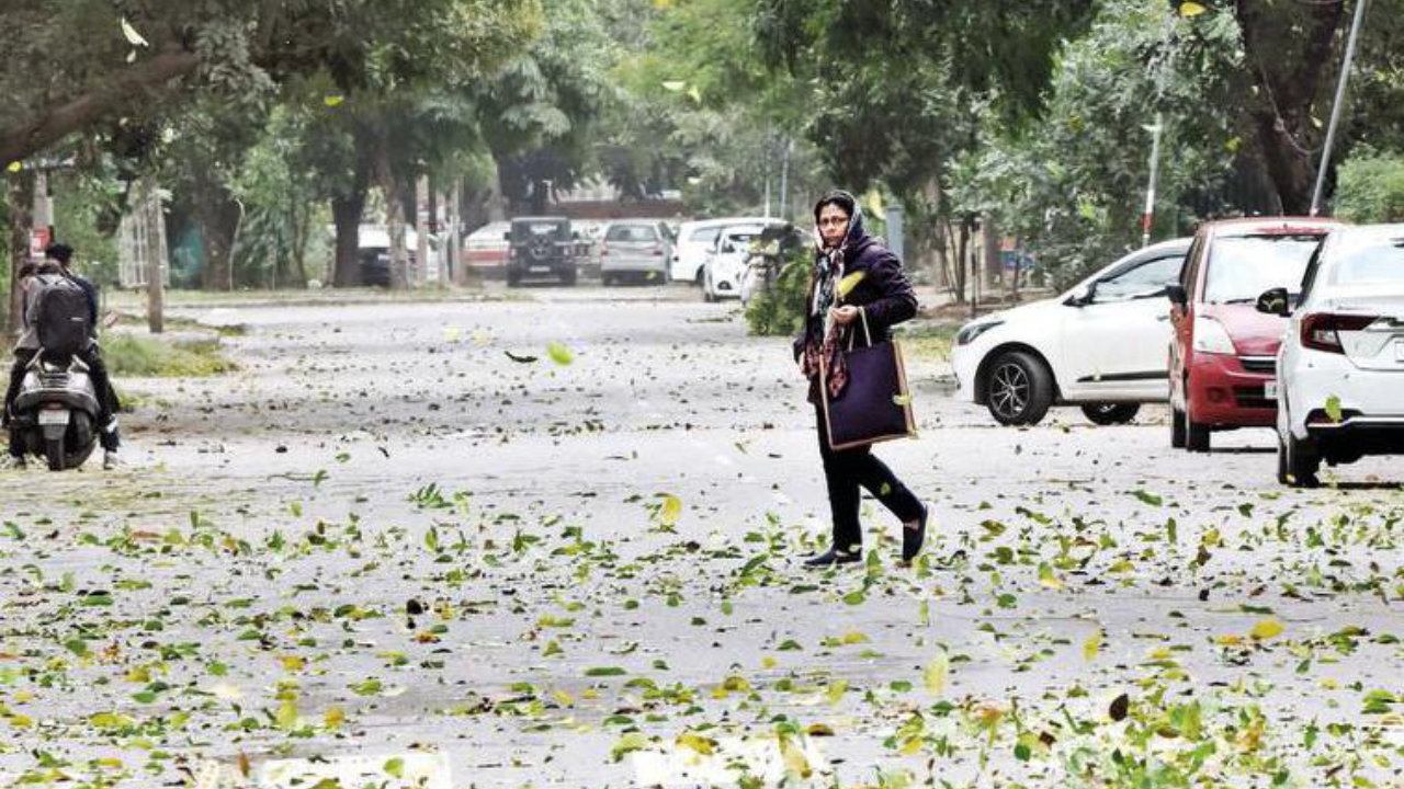 Sunny Days Ahead, Max & Min Temps Set To Rise | Chandigarh News - Times of  India