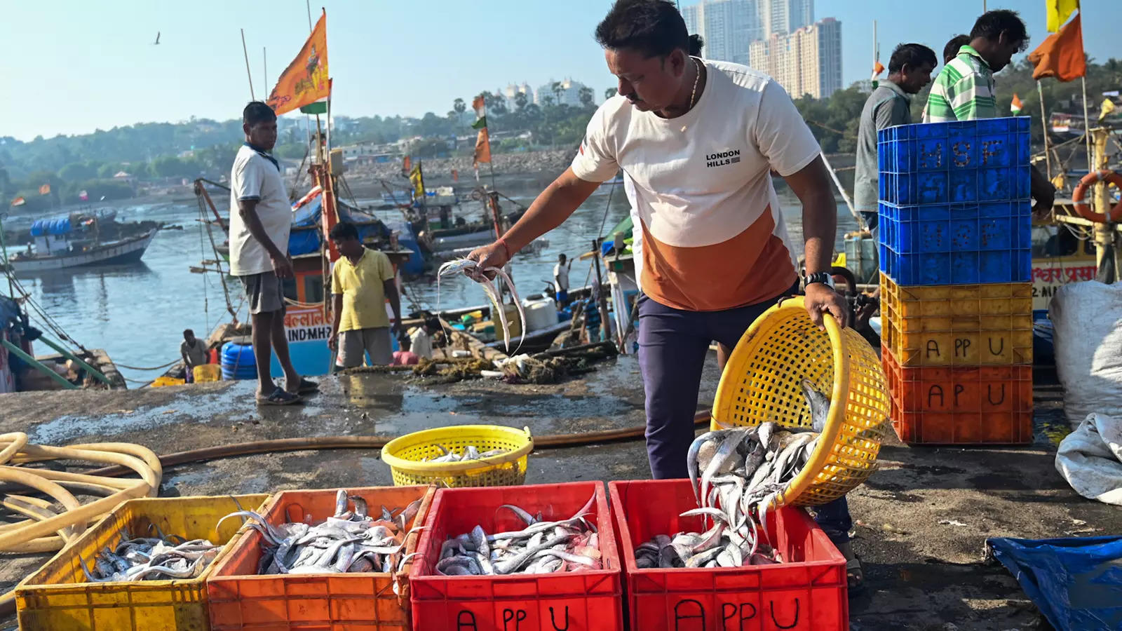 Why fish-loving Mumbai is running out of fish & fisherfolk