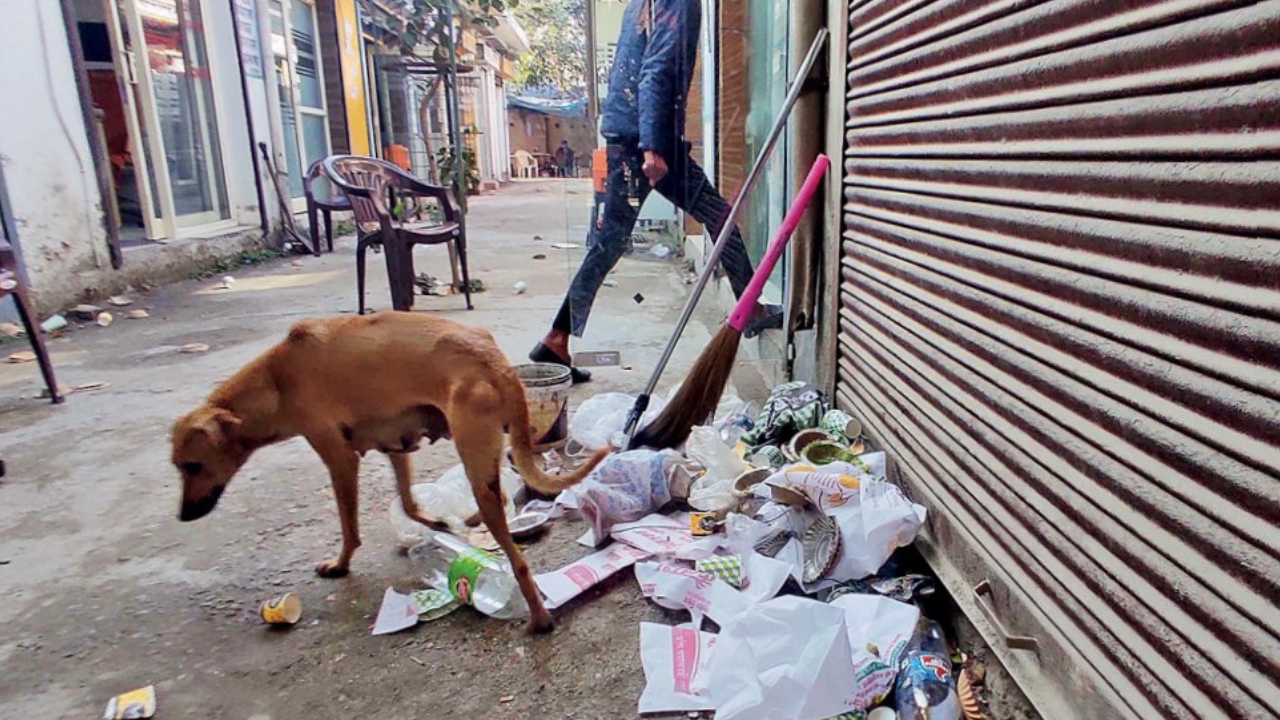 Main court complex lies in sweeping neglect in Noida