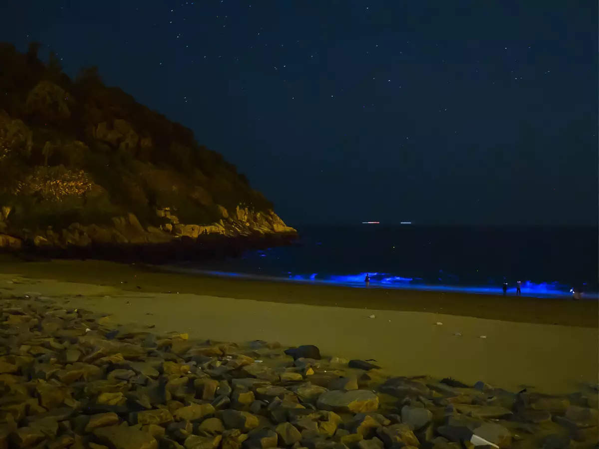 Coolest night beaches in India that glow in the dark! | Times of ...