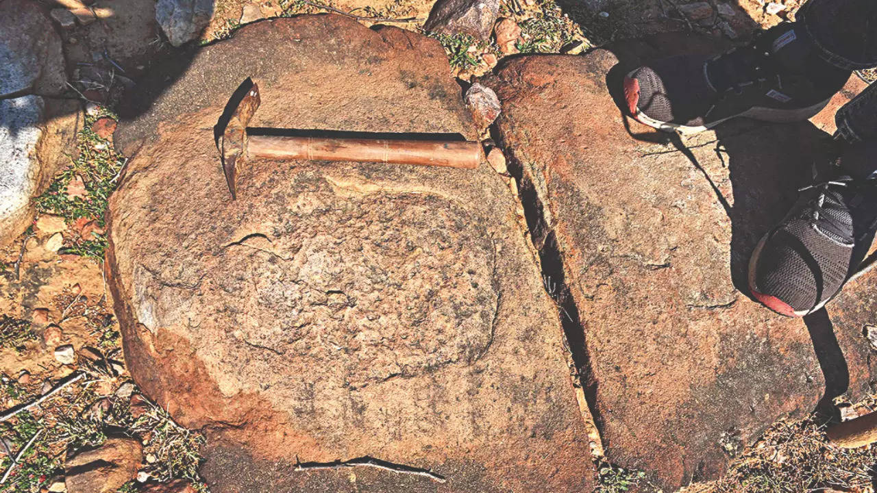 Stone Age carvings found in Aravalis in Gurugram