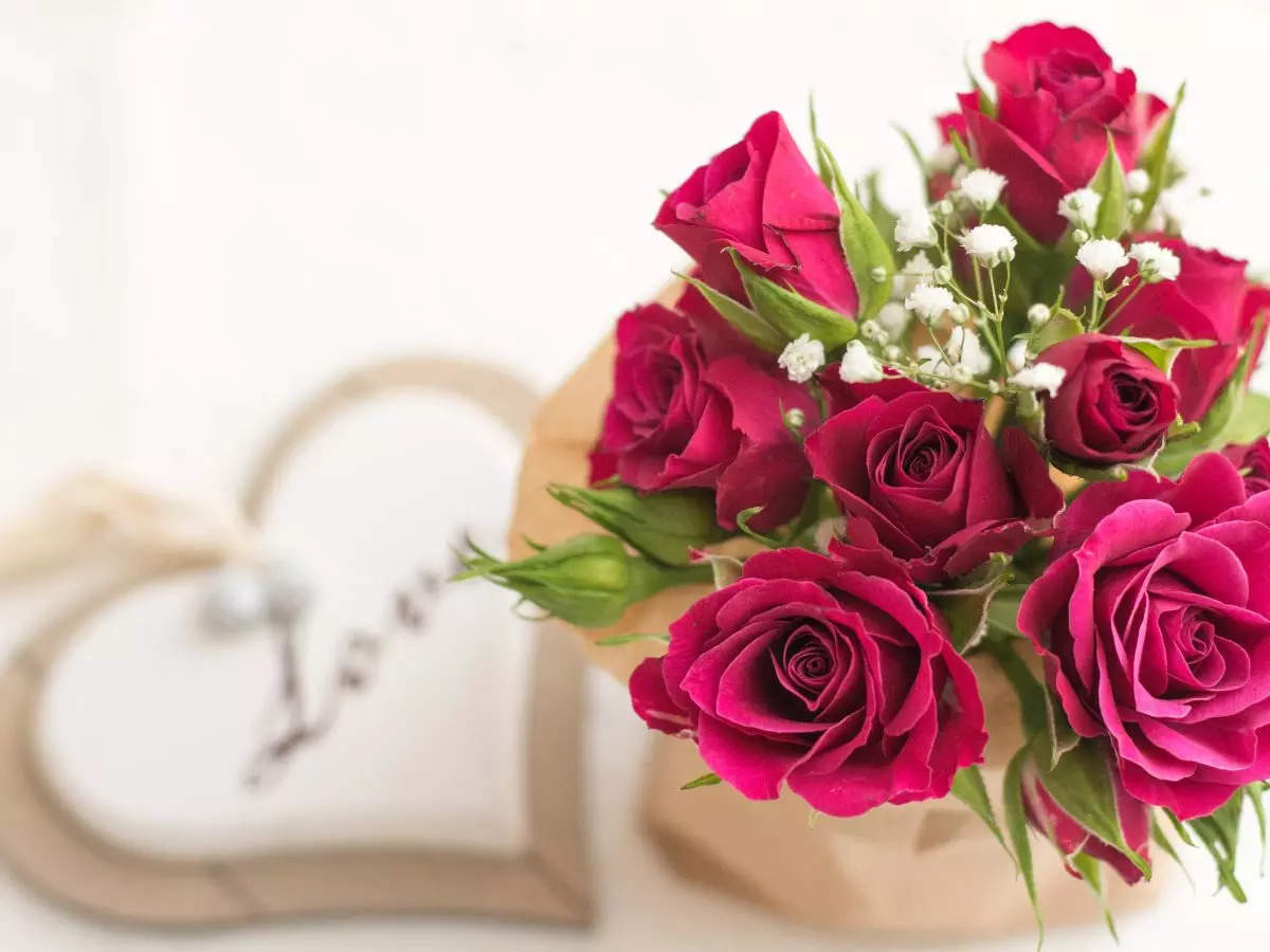 Happy Rose Day 2023: Best Messages, Quotes, Wishes, Images and ...