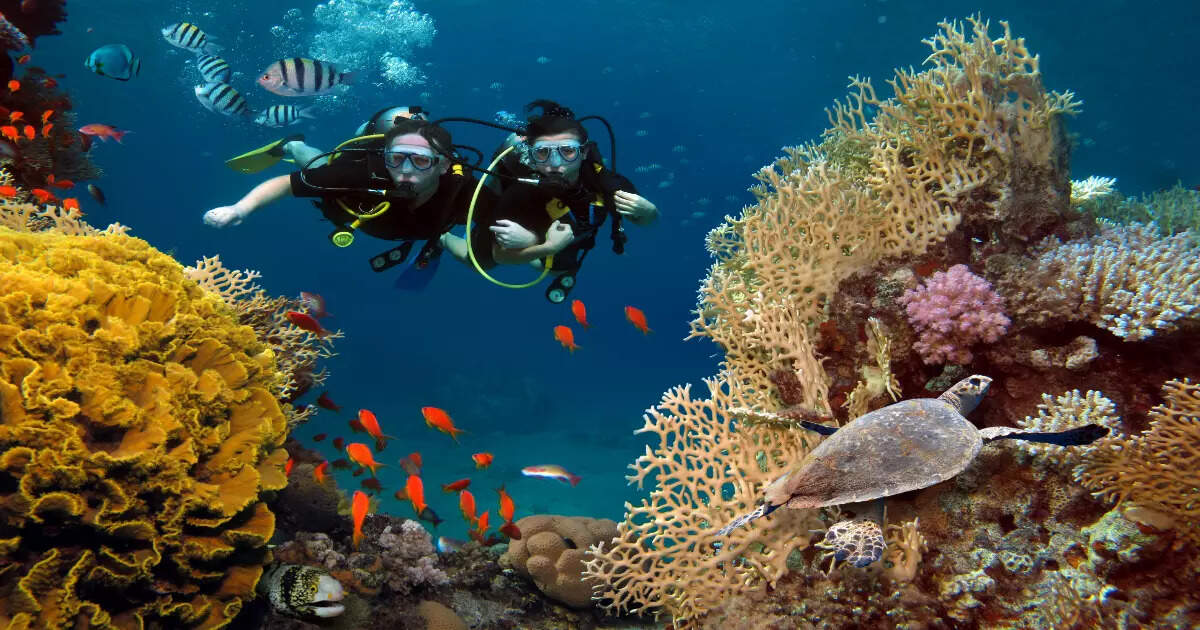 Best scuba diving places around the world Times of India