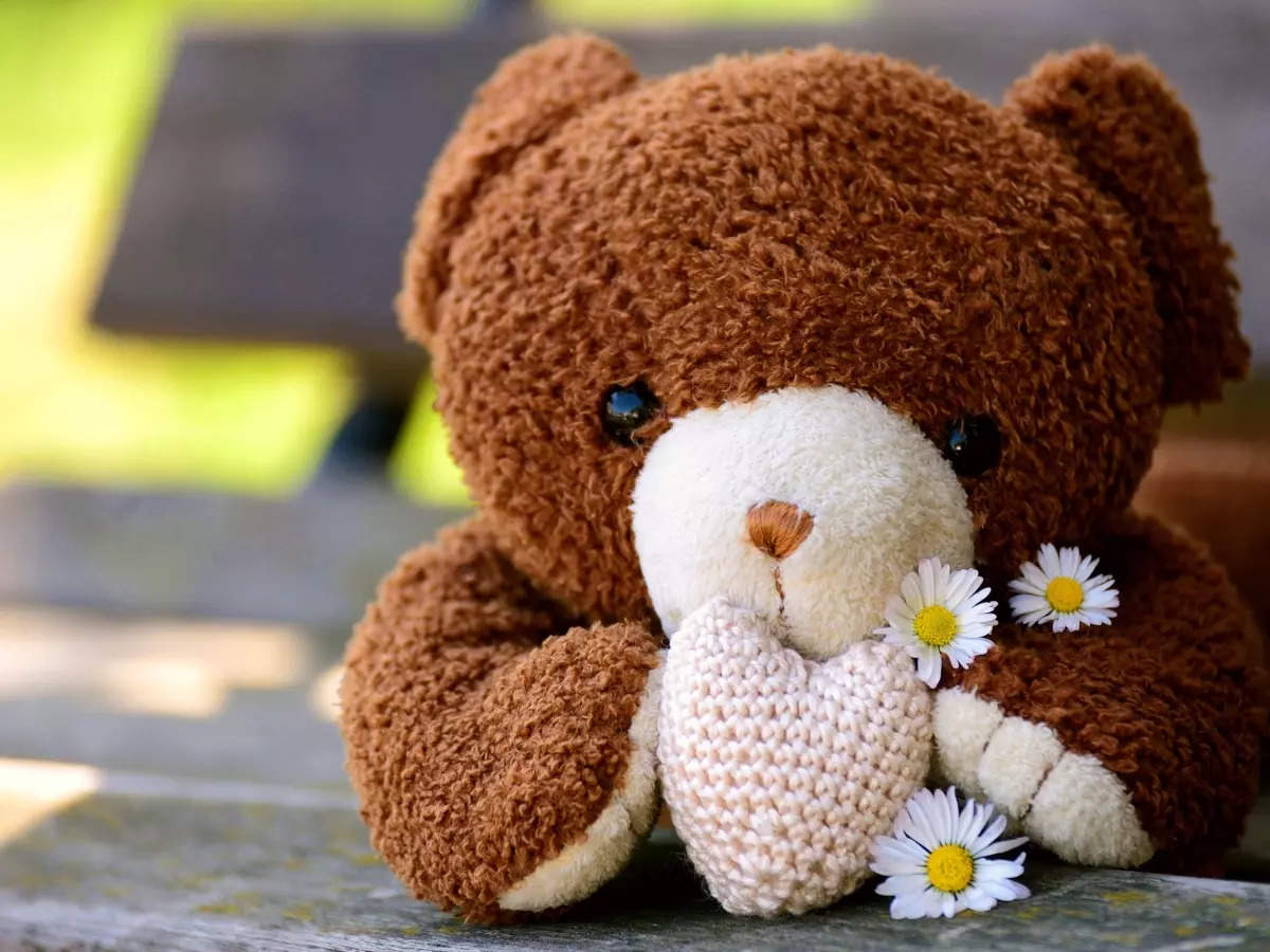 Happy Teddy Day 2022 Significance of different colours of teddy bears   Hindustan Times