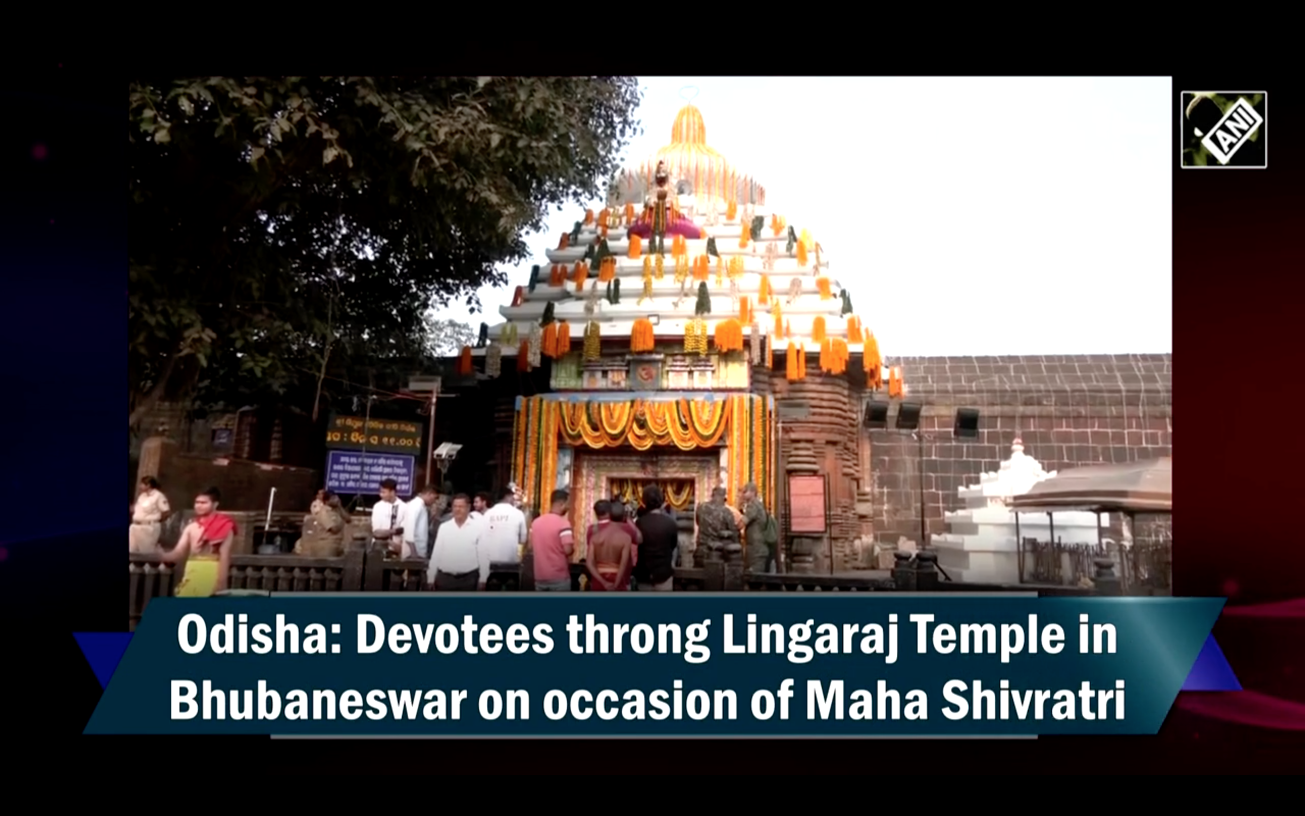 Devotees throng Lingaraj Temple in Bhubaneswar on occasion of Maha  Shivratri | News - Times of India Videos