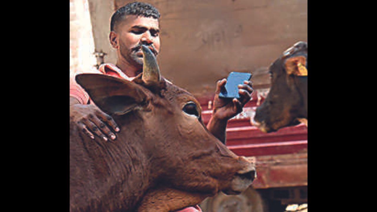 Takshila colony, Meerut Map, Property Rates, Projects, Photos, Reviews