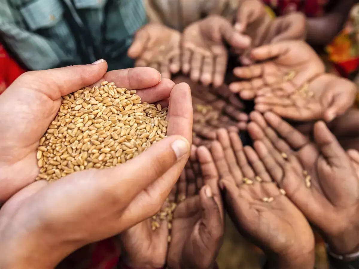 The government will release an additional 20 liters of grain |  News from India