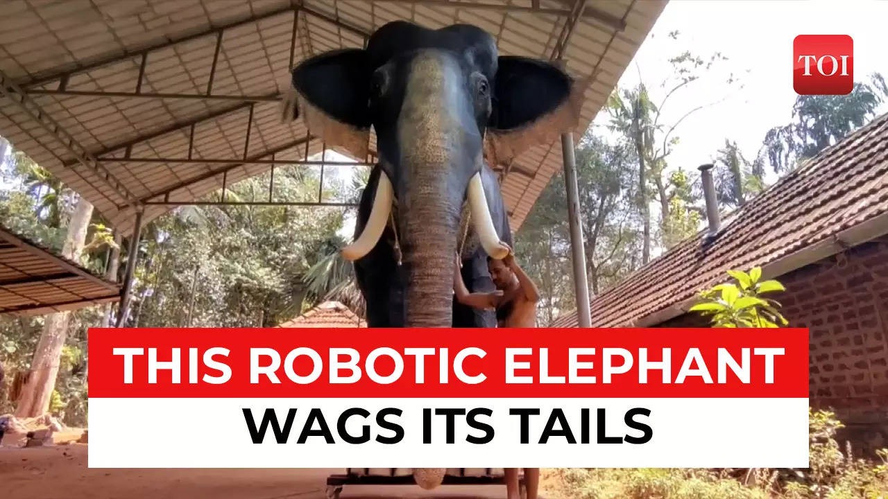 Kerala temple introduces 'robot' elephant built at a cost of Rs 5 ...