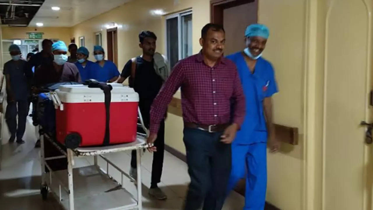 Accident victim gives new lease of life to six patients through organ donation in Karnataka | Mangaluru News – Times of India