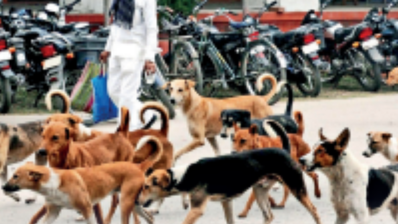 Bapunagar, Ahmedabad Map, Property Rates, Projects, Photos, Reviews, Info